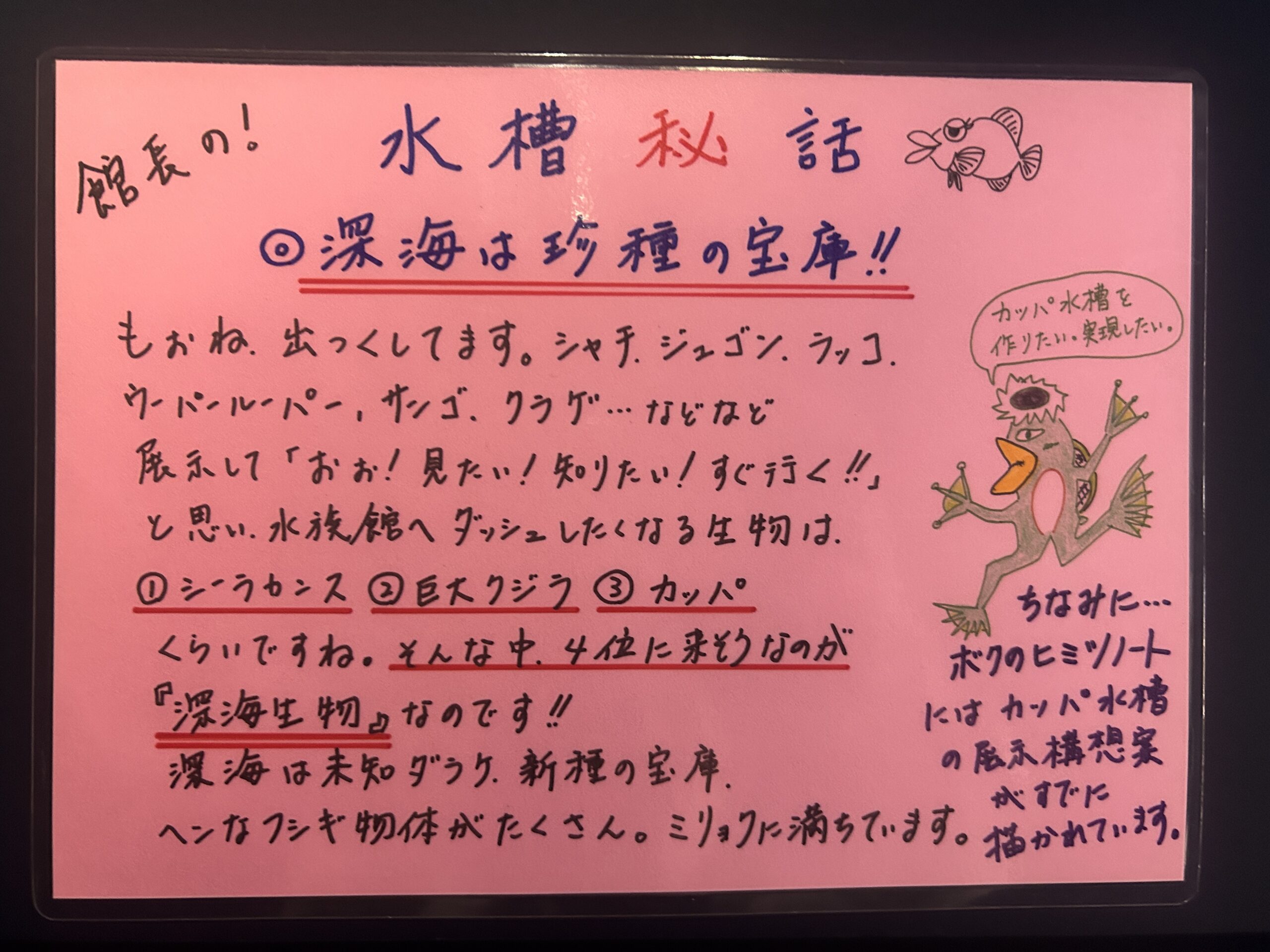 館長の水槽秘話POP