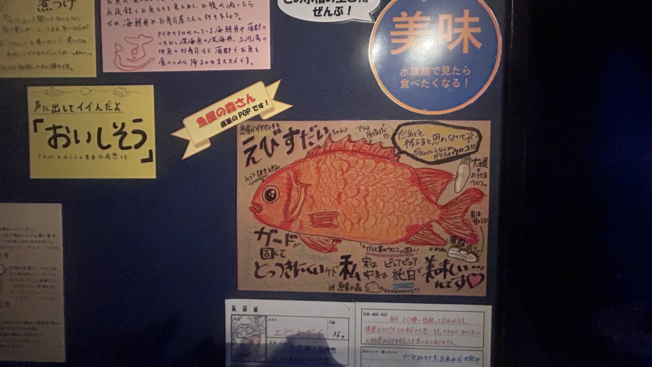 魚屋の森さん直筆POP（えびすだい）