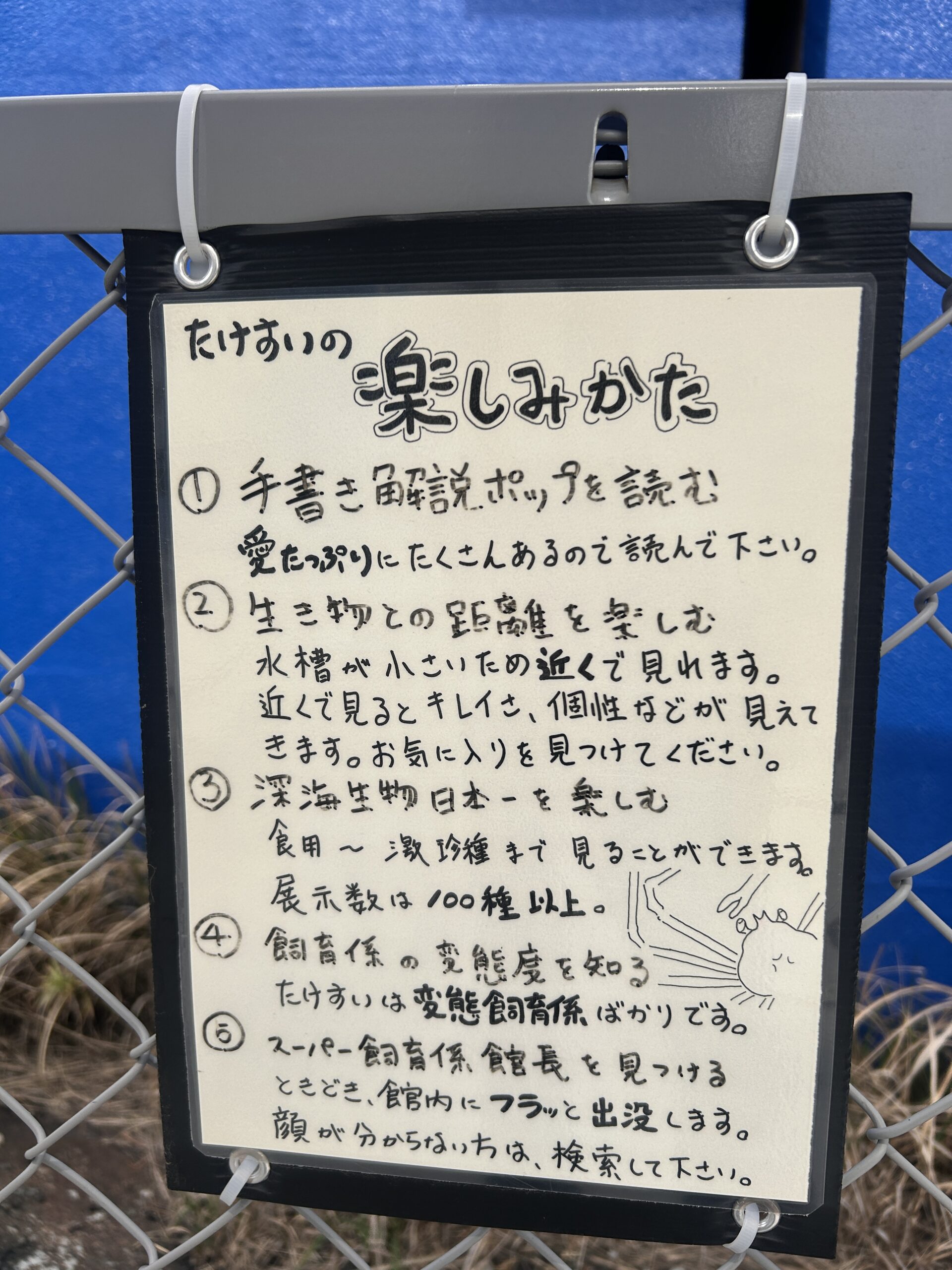 たけすいの楽しみかたPOP（通路）