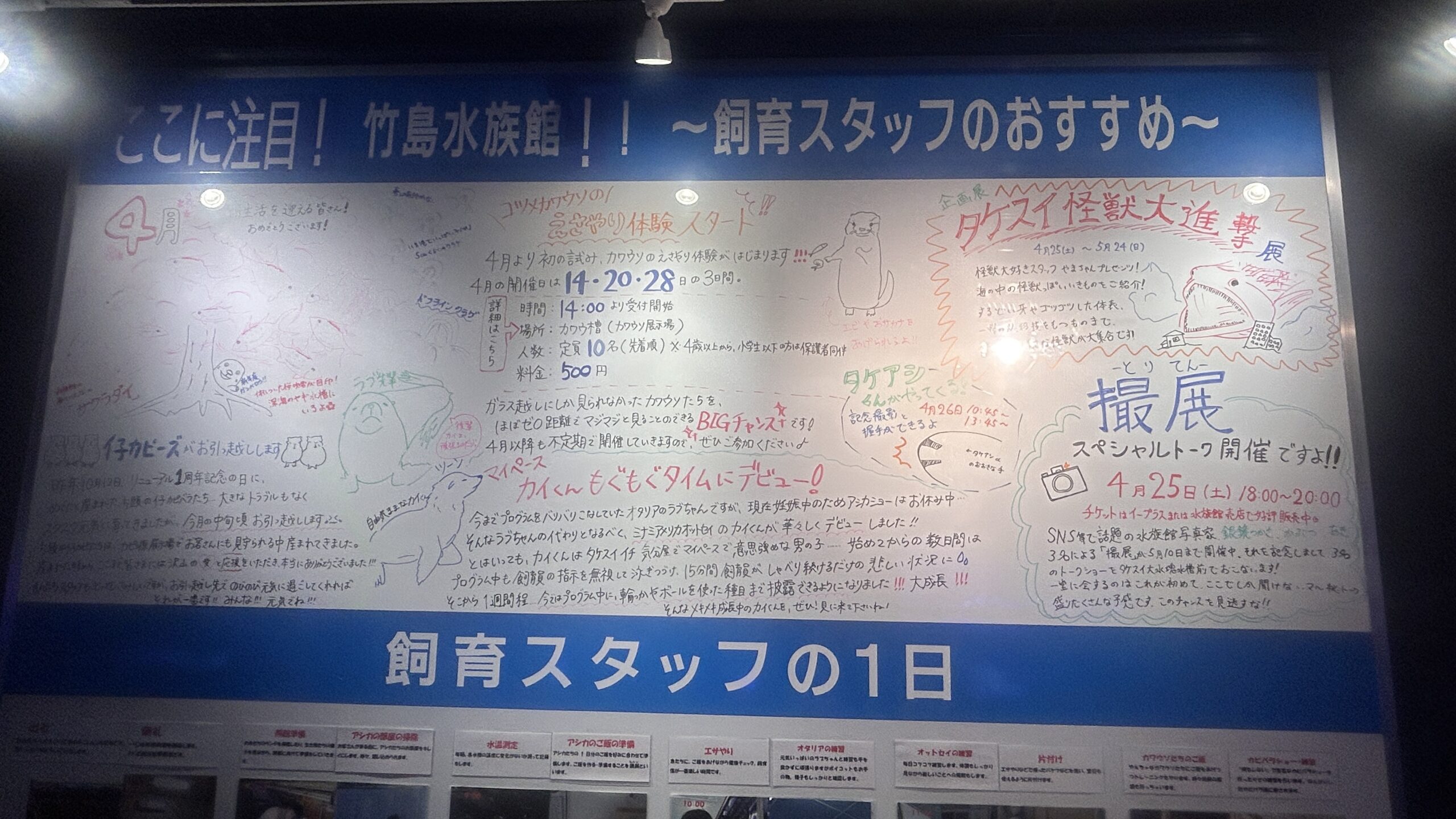 飼育スタッフのおすすめ＆スタッフの1日ボード