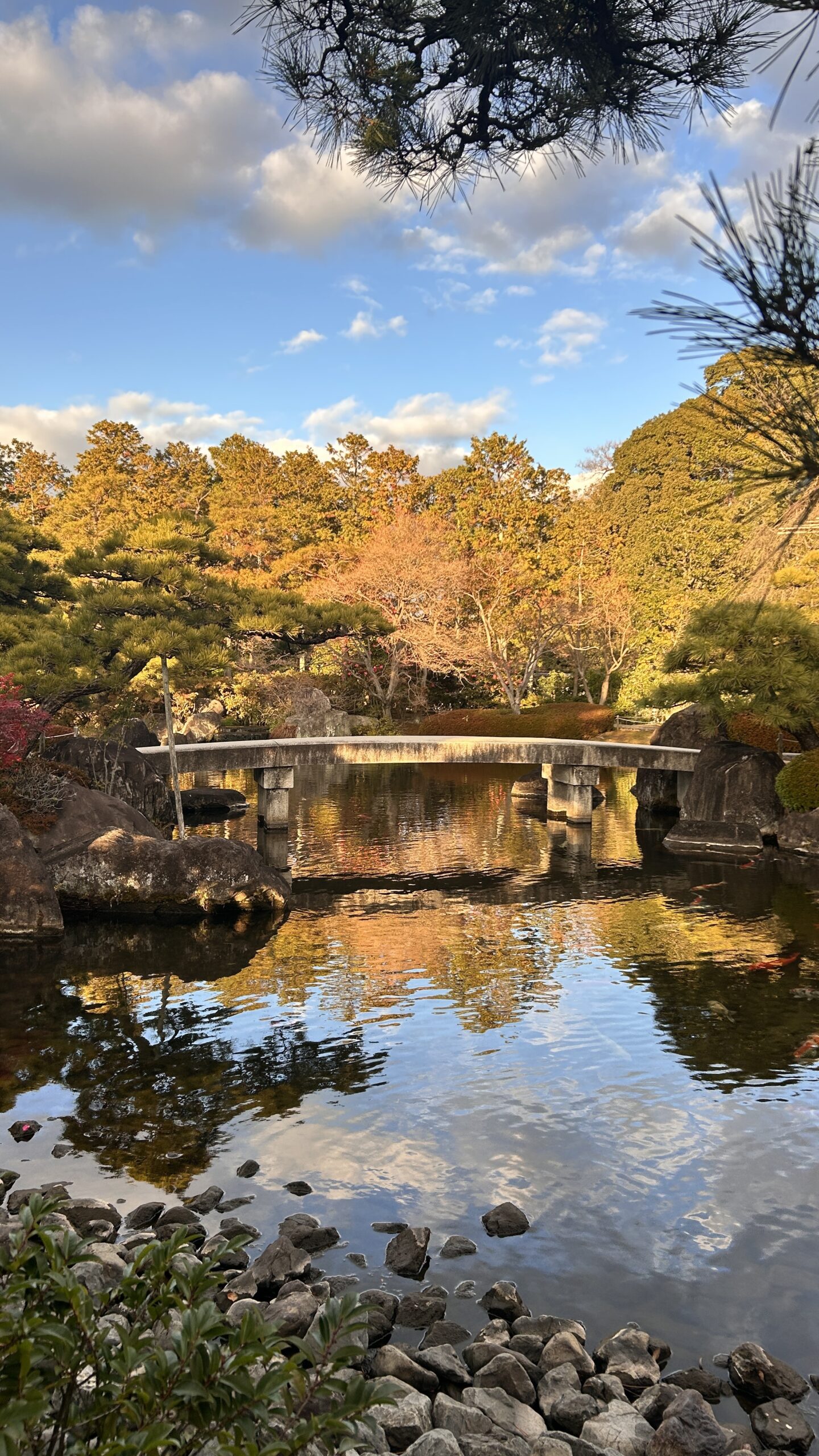 好古園の池と橋