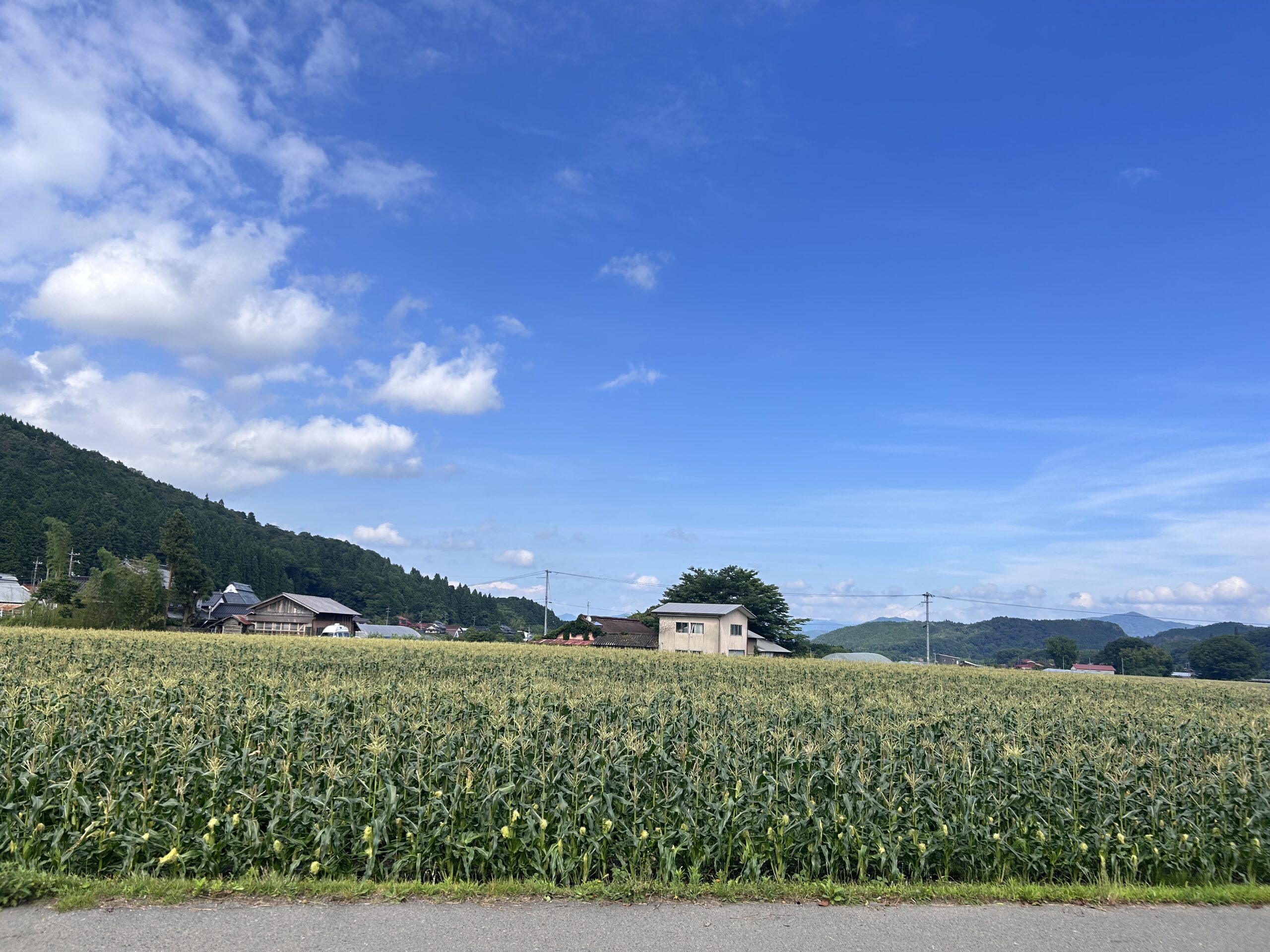 蒜山高原の道の駅「風の家」